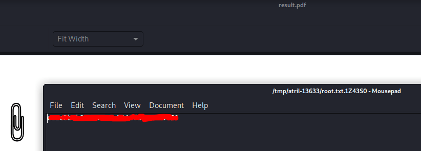 result.pdf
