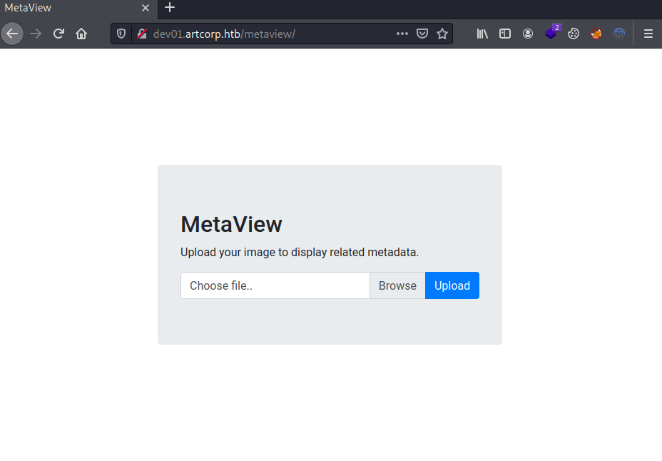 MetaView