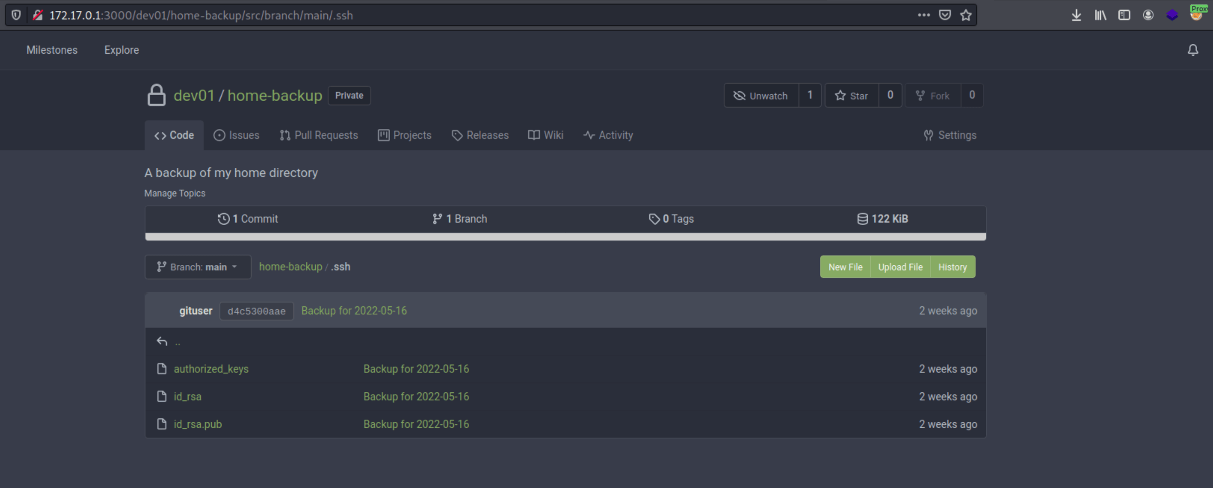 dev01 private repository